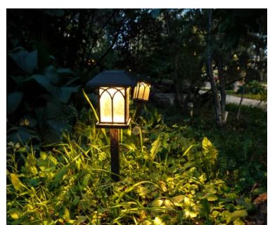 Easy Gardening Tips in USA gardening of usa