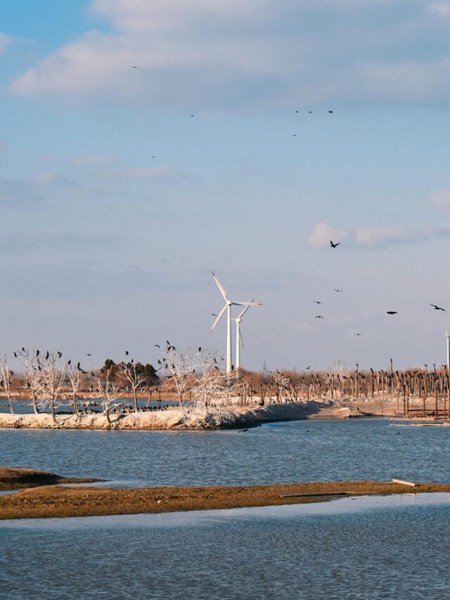 wind Turbines pexels photo 35647015 35647015
