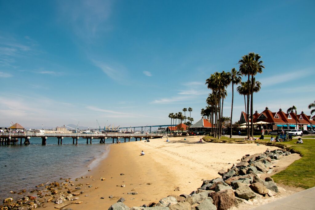 Relaxing beach scene in Coronado, CA, with palm trees and blue skies.
