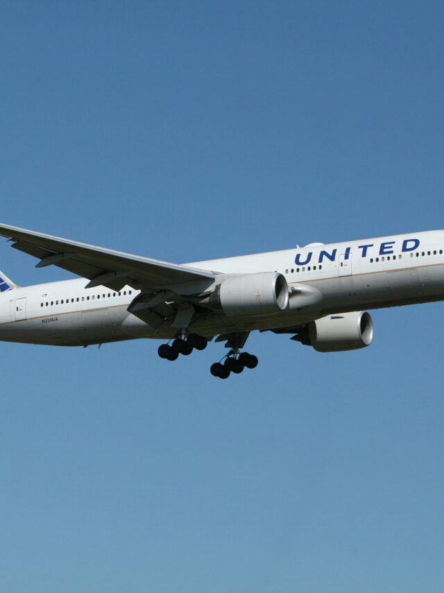 pexels photo 1089306 1089306