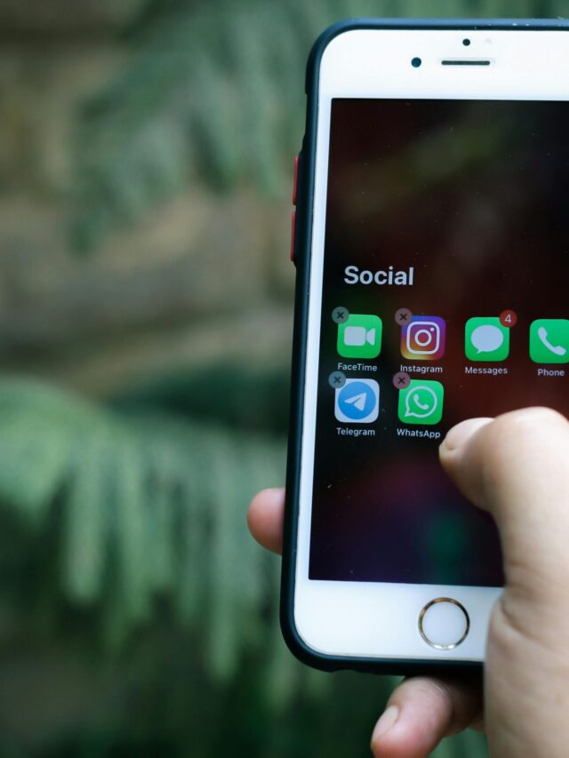 pexels photo 7787446 7787446